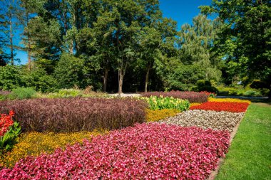 Bir çim ve çiçek bahçesi manzarası. güzel park