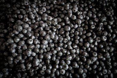 Taze Bilberries. Doku yaban mersini meyveleri yakın