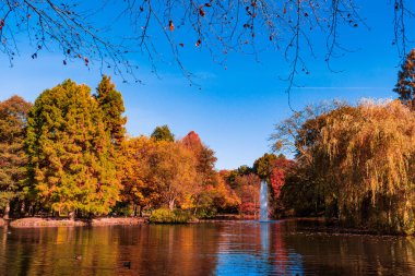 Suya yansıyan renkli sonbahar 