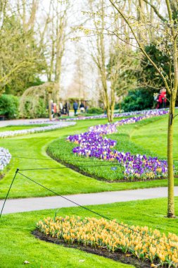 Hollanda 'daki Keukenhof Parkı 