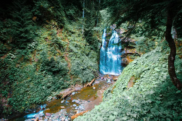 Парк водопадов Менделиха. Лесная река и водопад. Сочи . — стоковое фото