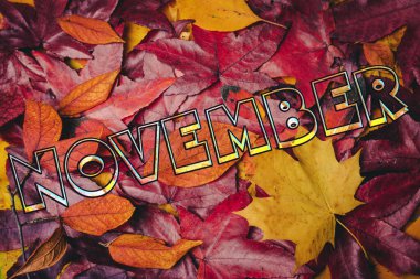 Sonbahar yapraklarının arka planı. Sonbahar arkaplanı