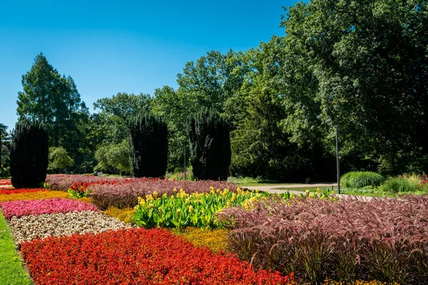 Z widoku na trawnik i ogród kwiatowy. piękny park — Zdjęcie stockowe