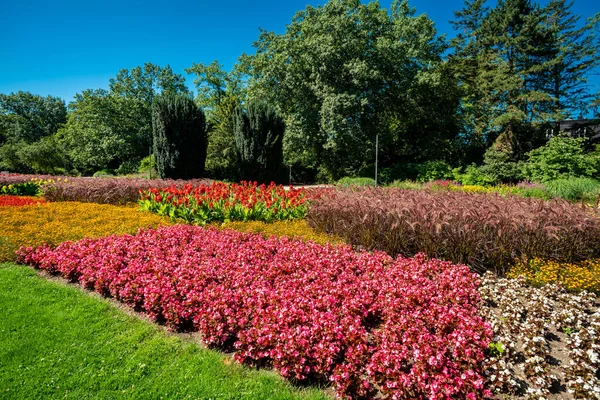 Bir çim ve çiçek bahçesi manzarası. güzel park
