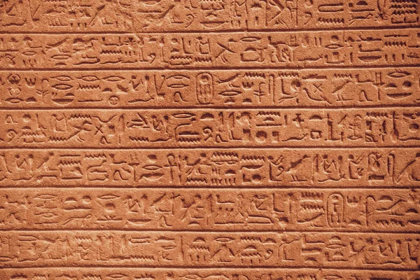 벽에 이집트 상형 문자들을 가까이 서 본 모습 — 스톡 사진