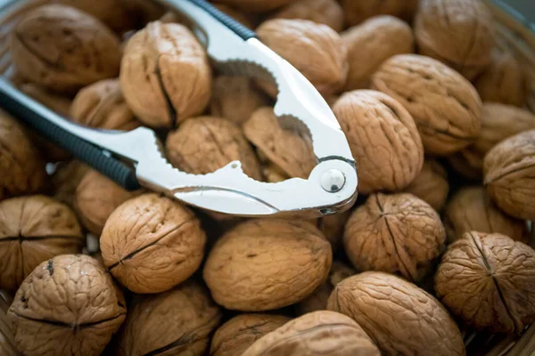 Background of fresh walnuts.  Natural walnut background — Stock Photo, Image