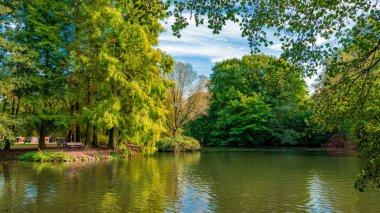 Gerçek sonbahar manzarası. Parkta altın sonbahar sahnesi