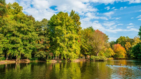 Echt herfstlandschap. Gouden herfst scene in een park — Stockfoto