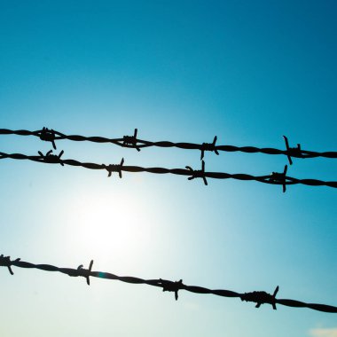 Gökyüzüne karşı dikenli tellerin arkaplanı. 
