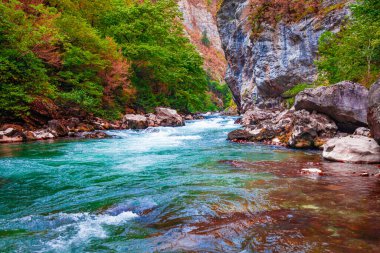Dağ nehri manzarası. Dağlardaki nehir vadisi