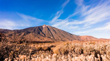 El Teide Ulusal Parkı, Tenerife, Kanarya Adaları, İspanya 