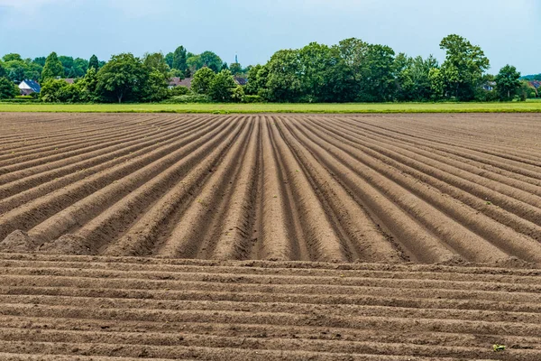 Omgeploegde Veld Lente Agrarische Achtergrond — Stockfoto