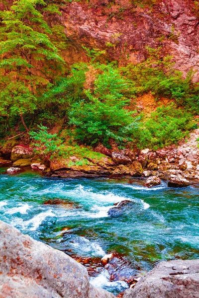 美しい風景 森の山と青い川自然景観背景 — ストック写真