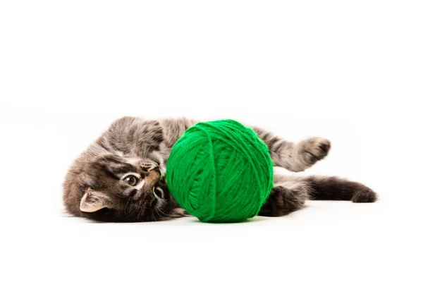 Gatito Con Bolas Hilos Gatito Sobre Fondo Blanco — Foto de Stock