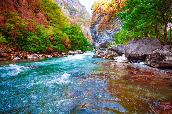 渓流渓谷の風景 — ストック写真