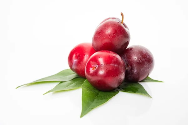 Pruimen Met Pruimenbladeren Geïsoleerd Een Witte Achtergrond — Stockfoto