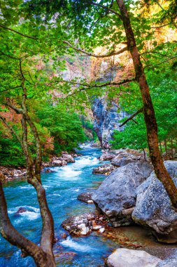 Dağ nehri manzarası. Dağlardaki nehir vadisi