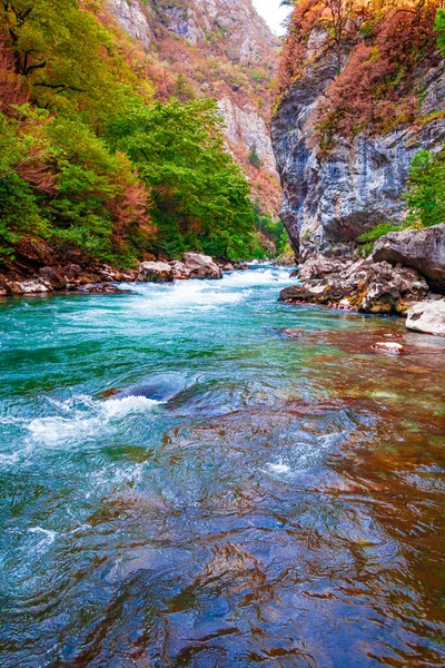 Горная Река — стоковое фото