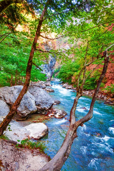 Mountain River Stream Valley Scenery Landscape — Stock Photo, Image