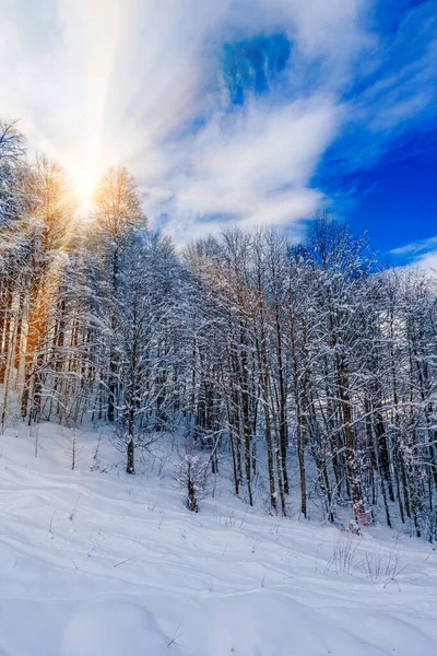 Schönes Schneebedecktes Winterlandschaftspanorama Mit Wald Und Sonne Wintersonnenuntergang — Stockfoto