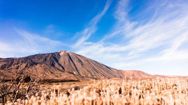 İspanya - Volkan Teide Ulusal Parkı. Teide Dağı, UNESCO Dünya Mirası Bölgesi