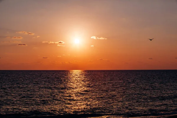 Beautiful Warm Sunset Sea Beautiful Scenery Charming Sunset — Stock Photo, Image