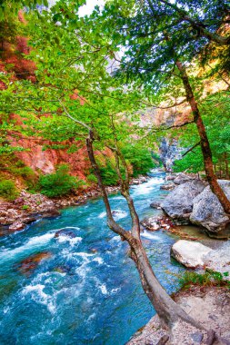 Dağ nehri manzarası. Dağlardaki nehir vadisi