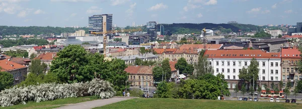 Vilnius Lithuania May 2018 Panorama Spring Sunny City Public Garden — Stock Photo, Image