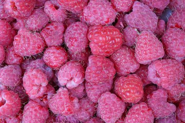 İdeal tatlı olgun ahududu meyveleri sepete yalan. Stüdyo makro arka plan