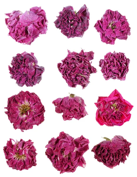 Fiori Rosa Rosa Essiccati Sono Utilizzati Medicina Preparazione Del Isolato — Foto Stock