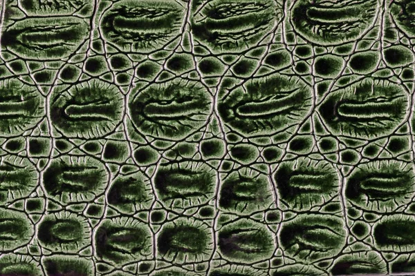 Textura Artificial Pele Crocodilo Estúdio Fundo Macro — Fotografia de Stock