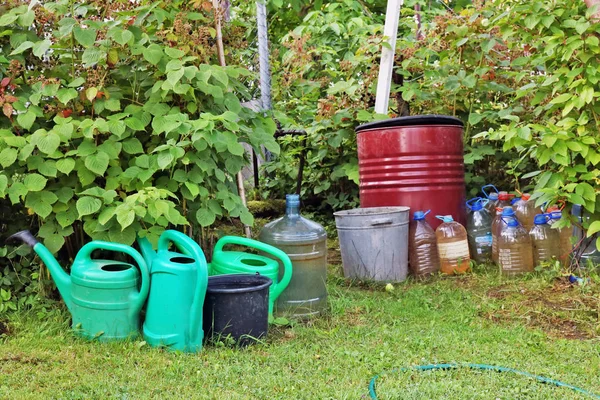 Hot  summer day and the water in buckets and cans in poor european vegetable garden. Thirst concept.  July sunny outdoor concept