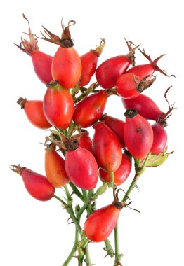 Büyük miktardaki vitamini C. Isolated beyaz stüdyo makro çekim üzerinde kırmızı sonbahar gerçek çilek orman kalça içerir