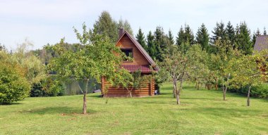 Küçük elma ağaçlarının kırmızı meyve ile büyür köyünde yeşil çim Bahçe. Birden çok açık fotoğraf panoramik Eylül yataydan