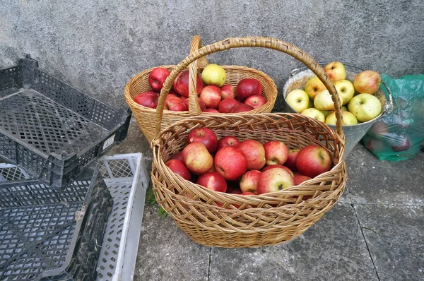 红甜苹果在篮子和 Ampty 塑料盒附近农村家 秋季收获概念 — 图库照片