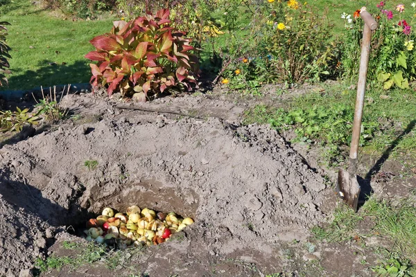 Szezonális Munka Őszi Kert Fogalma Rothadt Rossz Alma Kertészek Eltemetni — Stock Fotó