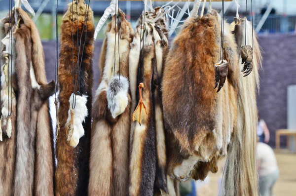 Dead animal skins Stock Photos, Royalty Free Dead animal skins Images |  Depositphotos