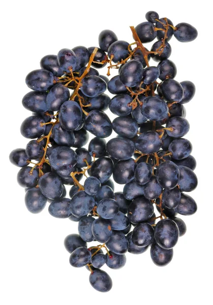 Real Large Bunch Heap Sweet Dark Blue Isabella Grapes Isolated — Stock Photo, Image