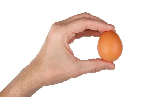 Fermer Man Håller Sin Hand Färsk Röd Kyckling Ägg Isolerad — Stockfoto