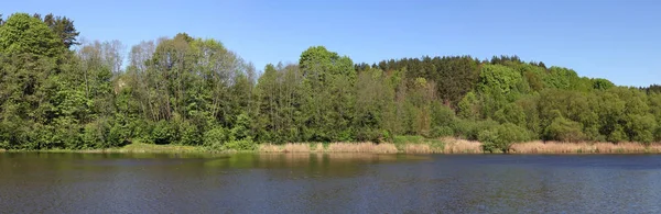 一个典型的春天4月立陶宛风景是一个冷的湖海岸与森林 全景拼贴画从几个户外照片 — 图库照片