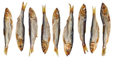 Dokuz tüm sıcak füme capelin saury çaça Baltık Denizi balık kafaları ve bağırsaklar seti - geleneksel Litvanyalı bira ile snack. Beyaz stüdyo makro sette izole