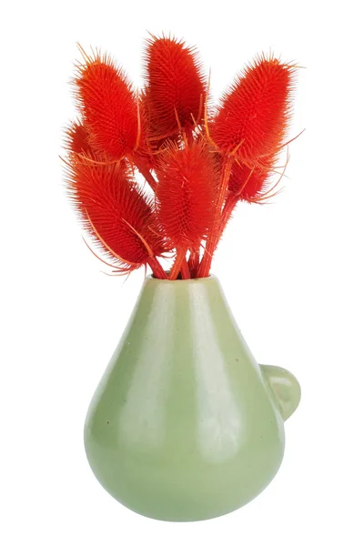 Tmavě Červené Suché Thistle Květiny Zelená Keramická Váza Izolované Bílém — Stock fotografie