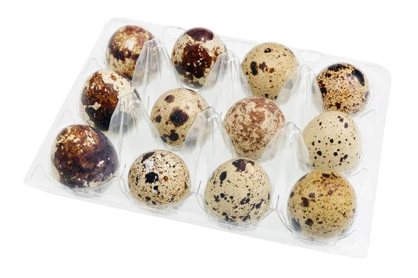 Taze Bıldırcın Yumurta Paskalya Için Plastik Bir Koruyucu Kap Içinde — Stok fotoğraf