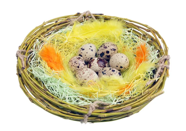Osternest Aus Weidenzweigen Mit Eiern Isoliert — Stockfoto