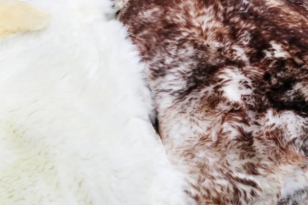 İşlenmiş anne yumuşak beyaz ve kırmızı kürklü kabarık koyun derileri vardır — Stok fotoğraf