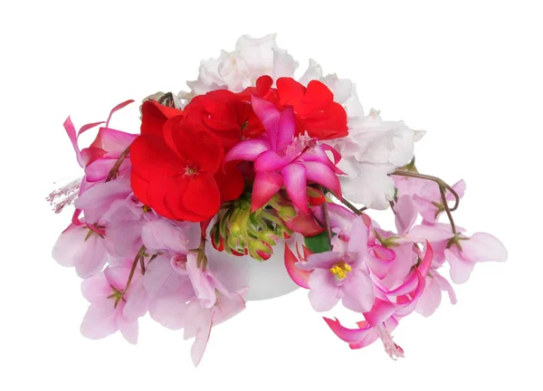 Ideal favorito melhor interior flores flores primavera mistura isolada — Fotografia de Stock