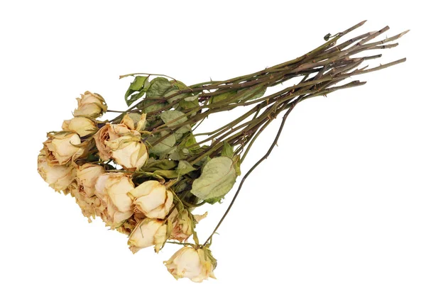 A dryed dead  bouquet of white roses was  a gift for a woman on — Stock Photo, Image