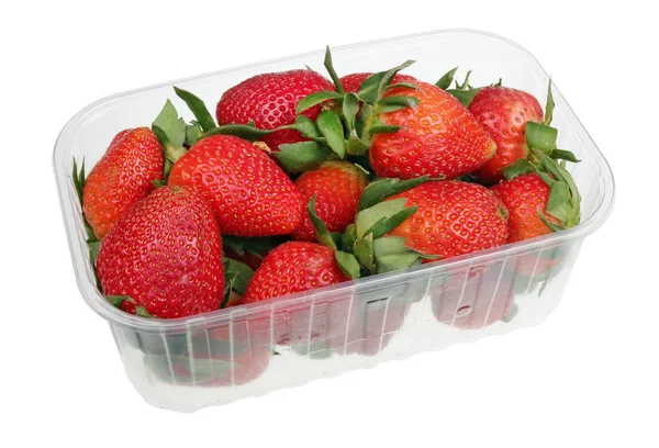 Duże truskawki jagody w przemysłowym pudełku z tworzywa sztucznego na białym tle — Zdjęcie stockowe