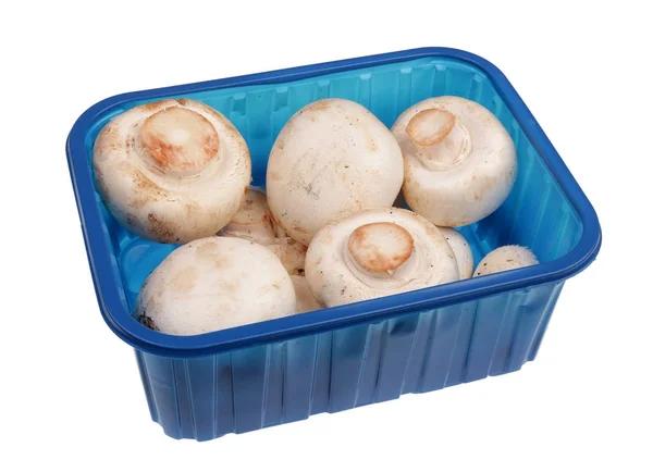 Hele verse champignon champignons in blauwe plastic container Isola — Stockfoto