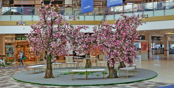 Velikonoce-zahradní Park s kvetoucí růžovými šácholany a — Stock fotografie